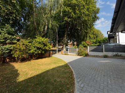 Picture 43